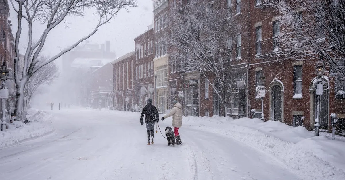 A serene winter scene of people and pets walking on a snow-covered street in Boston, MA.